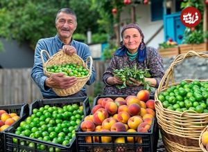 ببینید؛ غذای روستایی در آذربایجان؛ برداشت هلو و گوجه سبز و تهیه مربا و ترشی با آنها در روستا