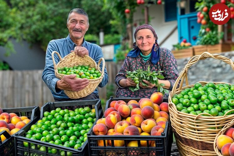 ببینید؛ غذای روستایی در آذربایجان؛ برداشت هلو و گوجه سبز و تهیه مربا و ترشی با آنها در روستا