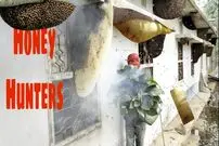 (ویدئو) برداشت هیجان انگیز 12 قاب عسل وحشی روی دیوار یک خانه متروک در تایوان