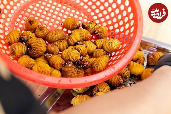 ببینید؛ غذای خیابانی در ویتنام؛ پخت انواع غذا با کرم غول پیکر نارگیل در هانوی