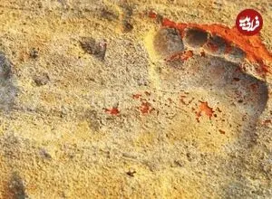 قدیمی‌ترین ردپاهای جهان کجا پیدا شده‌اند؟