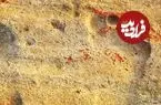قدیمی‌ترین ردپاهای جهان کجا پیدا شده‌اند؟