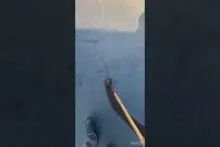 (ویدئو) یک ابزار شگفت انگیز برای لکه گیری تَرَک آسفالت