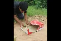 ( ویدیو) ساخت یک تله جالب برای گرفتن کبک 
