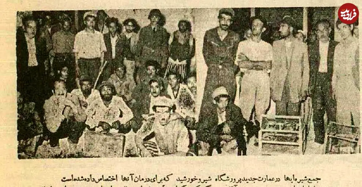 عکس؛ سفر در زمان؛ بلبل، طوطی و گوسفند را در اهواز معتاد کردند 