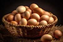 قیمت جدید تخم‌مرغ اعلام شد؛ اگر تخم‌مرغ را در مغازه‌ها با این قیمت می‌خرید، واقعی است
