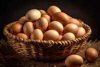 قیمت جدید تخم‌مرغ اعلام شد؛ اگر تخم‌مرغ را در مغازه‌ها با این قیمت می‌خرید، واقعی است