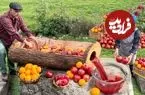 ببینید| غذای روستایی در آذربایجان؛ برداشت انار و تهیه آب انار به روش سنتی