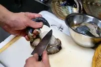 ببینید| غذای خیابانی در تایلند؛ تهیه سوشی با خرچنگ، صدف، ماهی و مارماهی در بانکوک