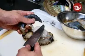 ببینید| غذای خیابانی در تایلند؛ تهیه سوشی با خرچنگ، صدف، ماهی و مارماهی در بانکوک