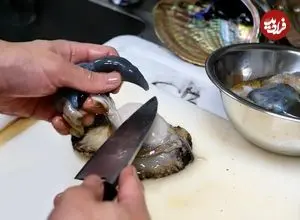 ببینید| غذای خیابانی در تایلند؛ تهیه سوشی با خرچنگ، صدف، ماهی و مارماهی در بانکوک