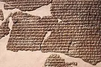 ما کتابدار داشتیم وقتی شما نبودید!