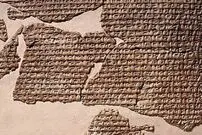 ما کتابدار داشتیم وقتی شما نبودید!