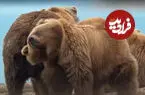 ببینید| وقتی خرس پالتوی زمستانی‌اش را مرتب می‌کند!