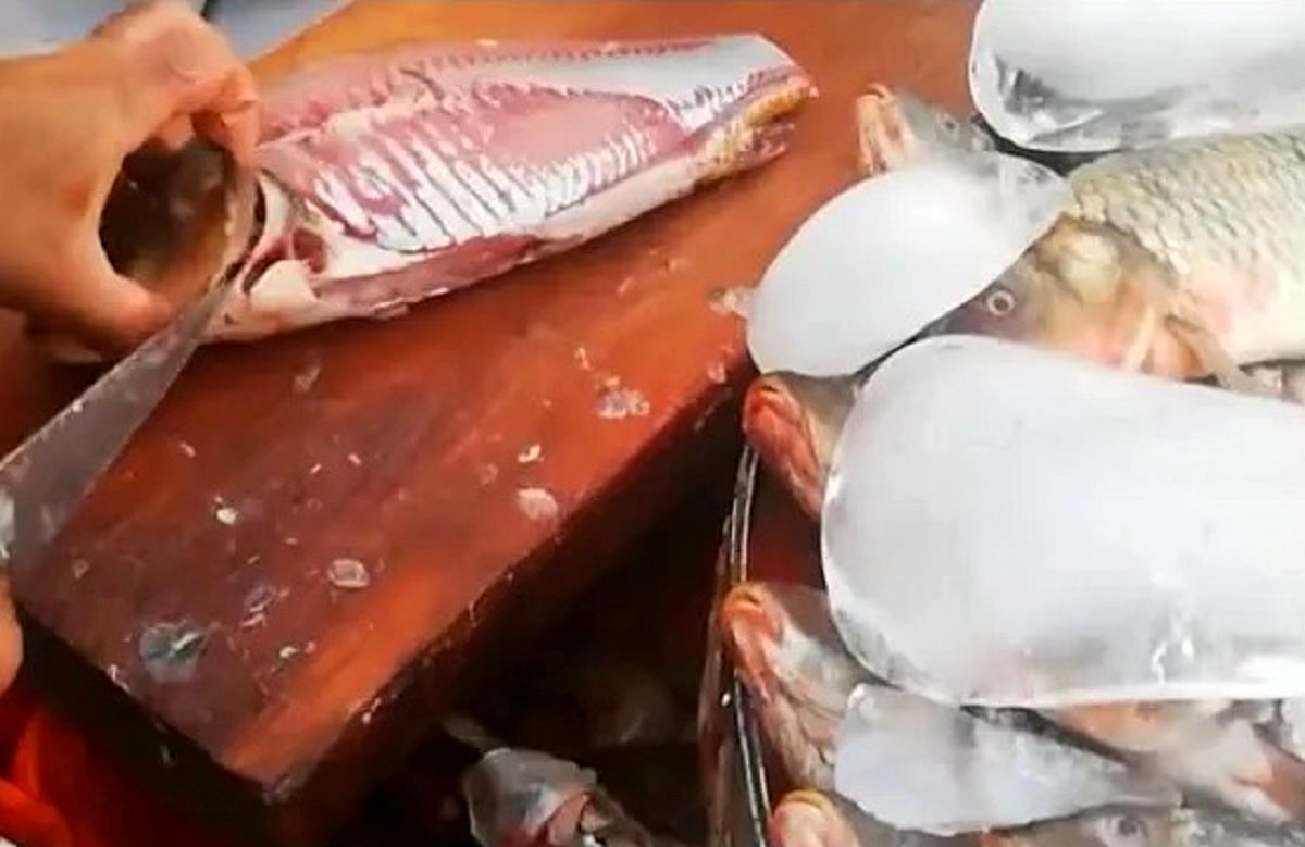 (ویدئو) مهارت خیره کننده و سرعتی این ماهی فروش در برش زدن و برداشتن پولک ماهی