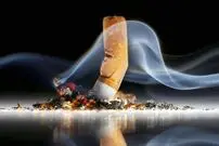 (ویدئو) آتش سوزی بر اثر ته سیگار روشن از منظر دوربین مدار بسته