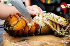 ببینید| غذای خیابانی در تایلند؛ پخت یک غذای خاص با لابستر، سس پنیر و تخم مرغ در بانکوک