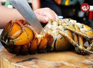 ببینید| غذای خیابانی در تایلند؛ پخت یک غذای خاص با لابستر، سس پنیر و تخم مرغ در بانکوک