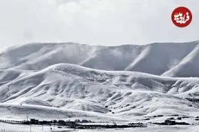 تصاویر| روز برفی سقز