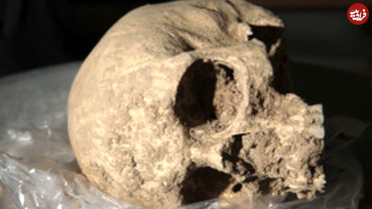 (ویدیو) کشف اسکلت کودک ۱۲ هزار ساله در غار باستانی بهشهر