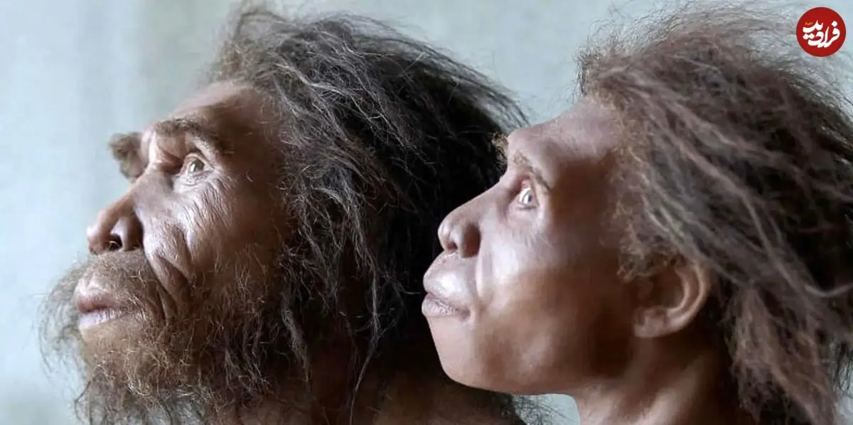 نئاندرتال‌ها هنوز زنده‌اند؛ اما جذب انسان‌های امروزی شده‌اند