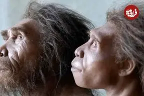 نئاندرتال‌ها هنوز زنده‌اند؛ اما جذب انسان‌های امروزی شده‌اند