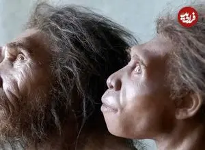 نئاندرتال‌ها هنوز زنده‌اند؛ اما جذب انسان‌های امروزی شده‌اند