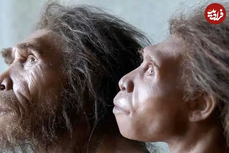 نئاندرتال‌ها هنوز زنده‌اند؛ اما جذب انسان‌های امروزی شده‌اند
