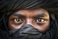 عکس‌های روز نشنال جئوگرافی؛ از قدرت گل‌ها تا مه زمستانی