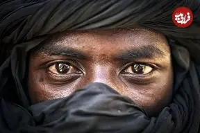 عکس‌های روز نشنال جئوگرافی؛ از قدرت گل‌ها تا مه زمستانی