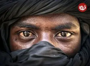 عکس‌های روز نشنال جئوگرافی؛ از قدرت گل‌ها تا مه زمستانی