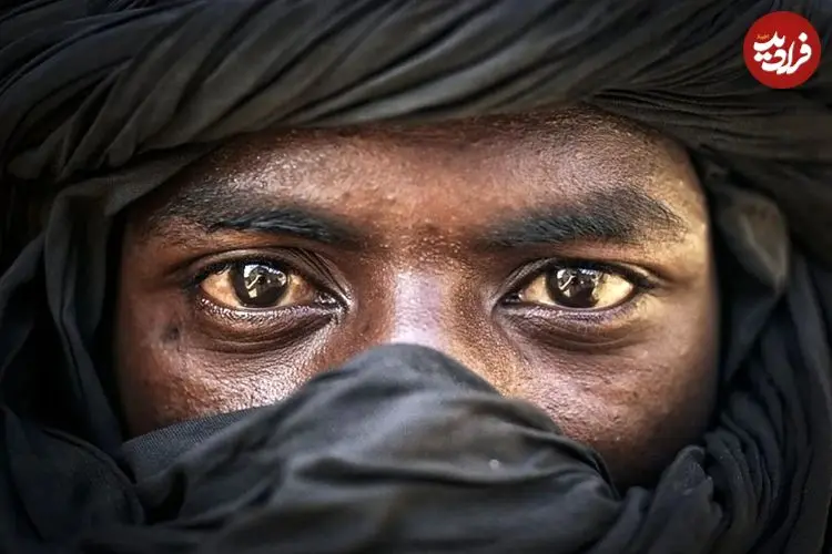 عکس‌های روز نشنال جئوگرافی؛ از قدرت گل‌ها تا مه زمستانی