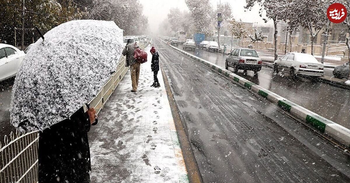 (عکس) ورود سردچال قطبی به ایران!