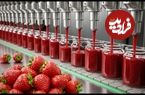 ببینید؛ صفر تا صد تولید مربای توت فرنگی در کارخانه ای پیشرفته در آمریکا