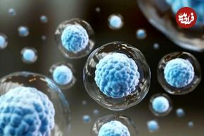 کشف محققان ژاپنی: سرکوب این پروتئین می‌تواند پیری را در سطح سلولی معکوس کند