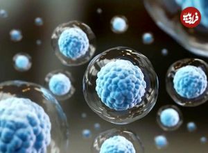 کشف محققان ژاپنی: سرکوب این پروتئین می‌تواند پیری را در سطح سلولی معکوس کند