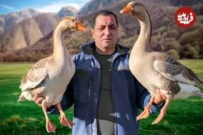 ببینید| غذای روستایی در آذربایجان؛ پخت یک خورشت سنتی با غاز