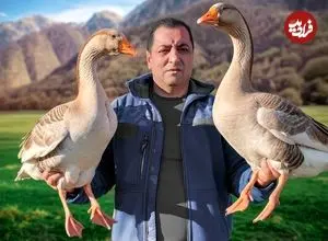 ببینید| غذای روستایی در آذربایجان؛ پخت یک خورشت سنتی با غاز