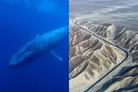 با بلندترین و طولانی ترین هر چیزی در دنیا آشنا شوید؛ از بلندترین کلمه تا طولانی ترین راه آهن
