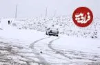 ببینید| تصاویری از بارش شدید برف در مراغه