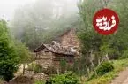 عکس| سفر زمان؛ تصویری از یک پل چوبی در جنگل‌های نزدیک رشت در حدود 140 سال قبل