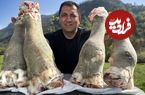 (ویدئو) غذای روستایی در آذربایجان؛ پخت یک غذای محلی با 4 پاچه غول پیکر گاو