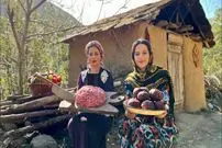 ببینید| غذای روستایی در ایران؛ پخت لبو پلو با کوفته قلقلی در طبیعت