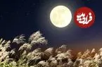 کاشت برنج در خاک ماه؛ نوآوری جدید ژاپنی‌ها