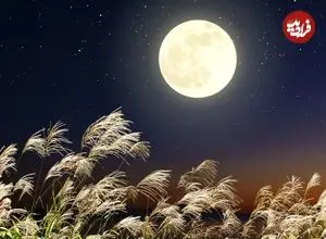 کاشت برنج در خاک ماه؛ نوآوری جدید ژاپنی‌ها