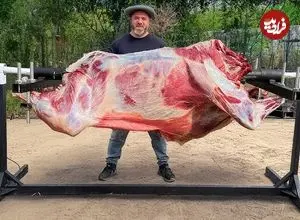 ببینید| غذای روستایی در آذربایجان؛ کباب گاو غول پیکر روی سیخ گردان در روستا