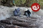 پسربچه ۱۰‌ ساله کشتی ۲۰۰‌ساله را با استفاده از «هدیۀ تولدش» کشف کرد