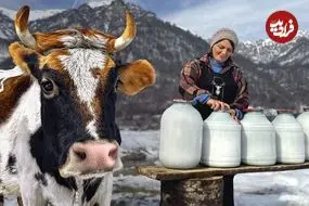 ببینید| غذای روستایی در آذربایجان؛ تهیه پنیر محلی با شیر تازه گاو در هوای برفی روستا