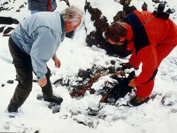 یک کشف تازه دربارۀ هویت «مرد یخی» پنج هزارساله