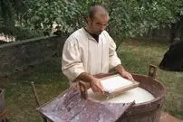 (ویدئو) فرایند تماشایی تولید کاغذ از چوب بامبو را ببینید